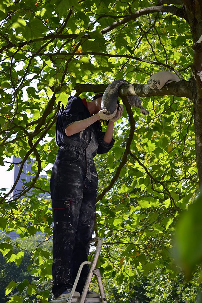 The artist places their artworks in a tree by using a ladder.