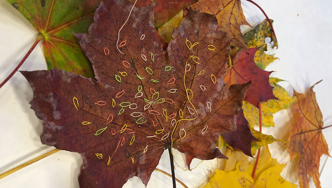 A leaf has been decorated with embroidery stitches.