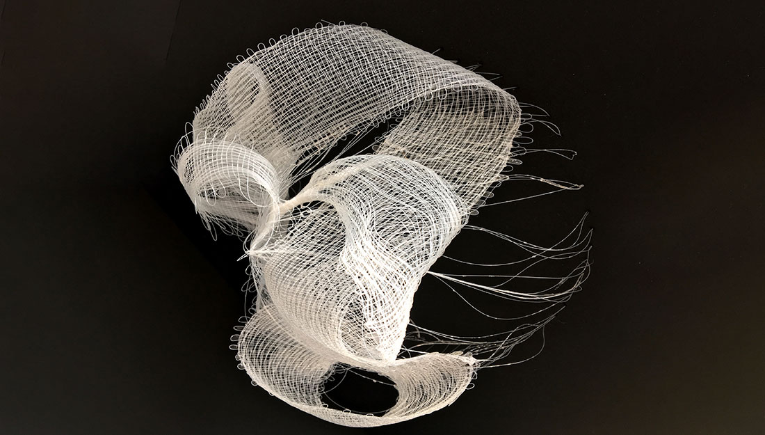 An abstract delicate woven form.