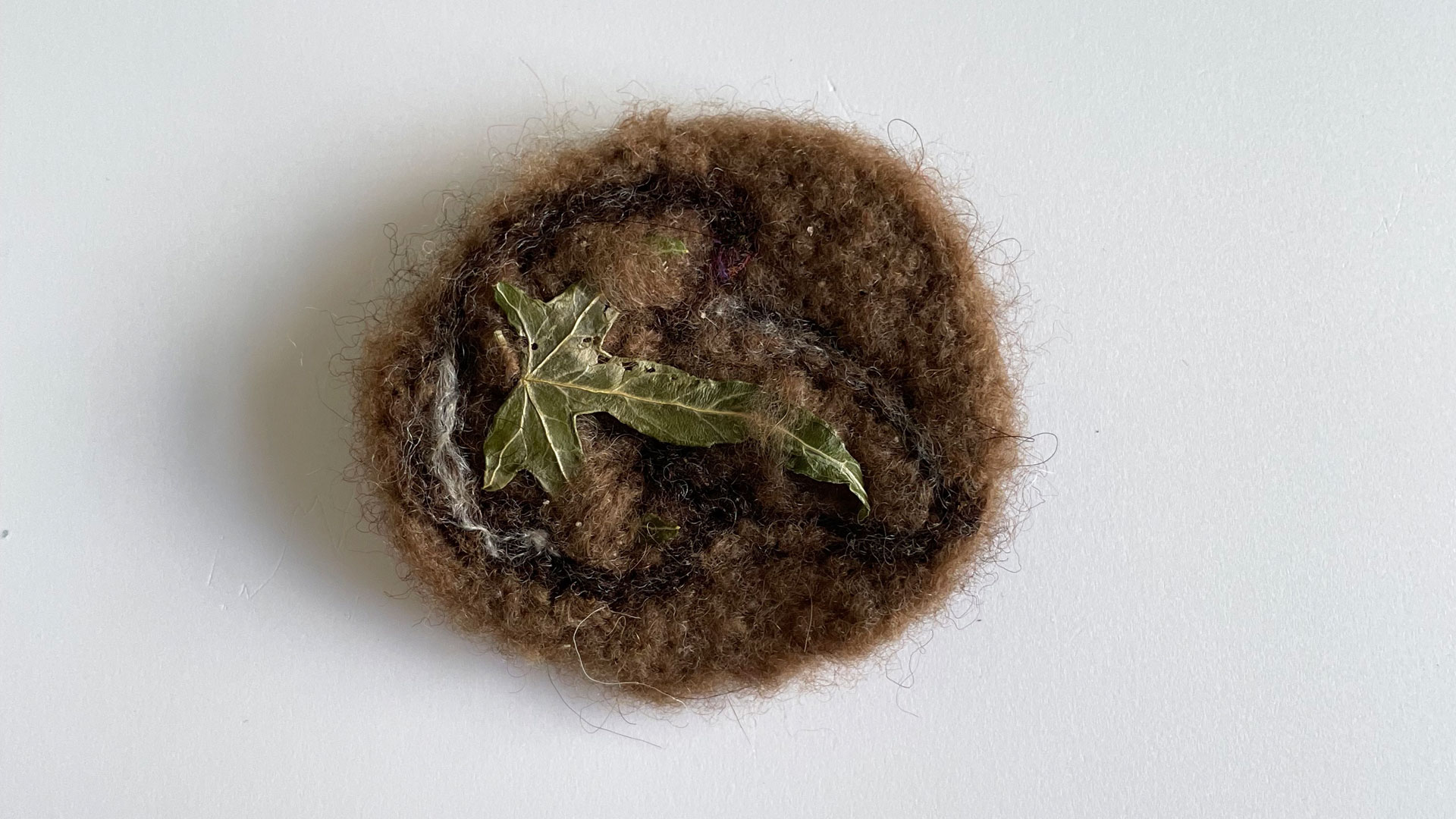 A circular brooch made of brown felted wool with a green ivy leaf embedded in the centre, on a white background