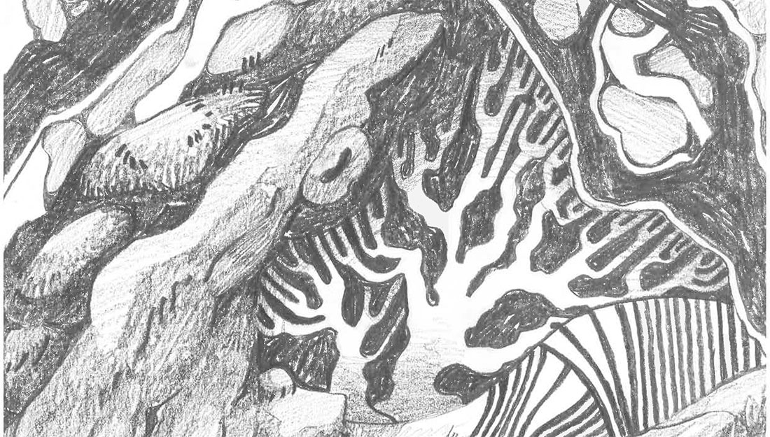 An abstract pencil drawing of trees, branches and roots.