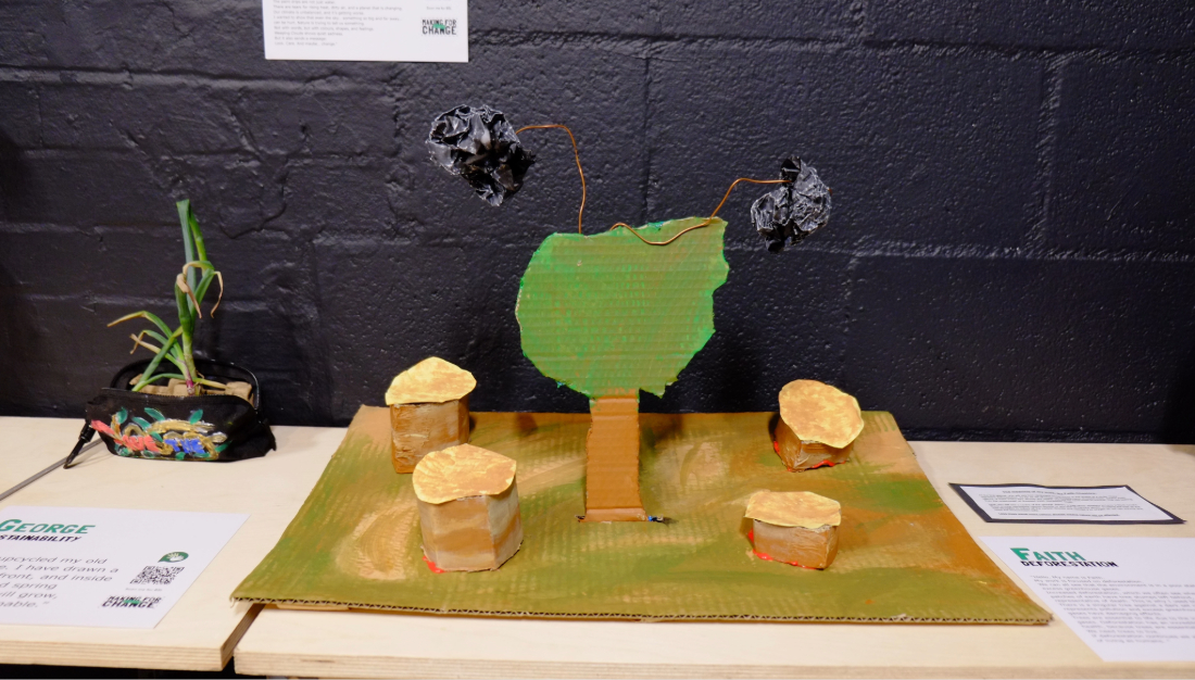 MFCC_Braidwood_Faith_Deforestation